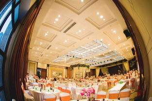 大庆艺群婚庆 以专业匠心，雕琢您的豪华婚礼梦想